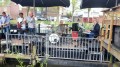 IMG-20220506-WA0021 * 800 x 450 * (110KB)