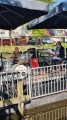 IMG-20220506-WA0029 * 337 x 600 * (62KB)
